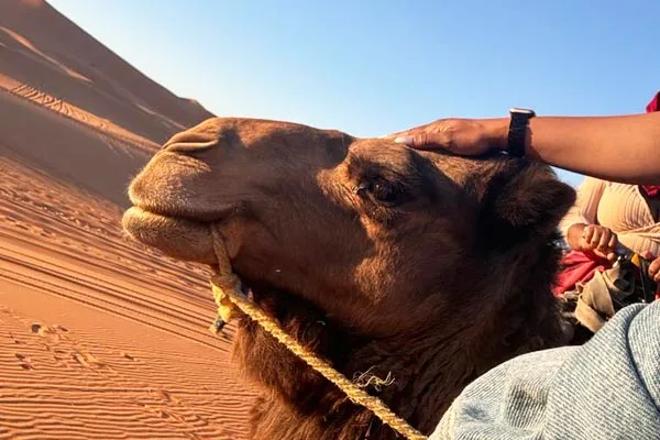 Erg Chebbi Desert Tour